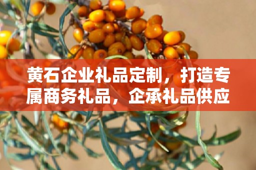黄石企业礼品定制，打造专属商务礼品，企承礼品供应链助力企业发展