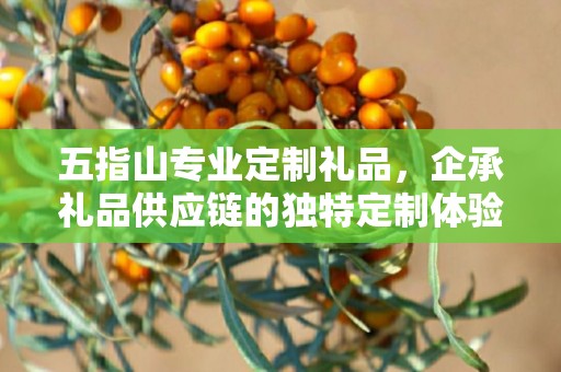 五指山专业定制礼品，企承礼品供应链的独特定制体验
